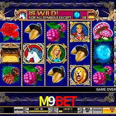 M9BET São Paulo - All Bonuses
